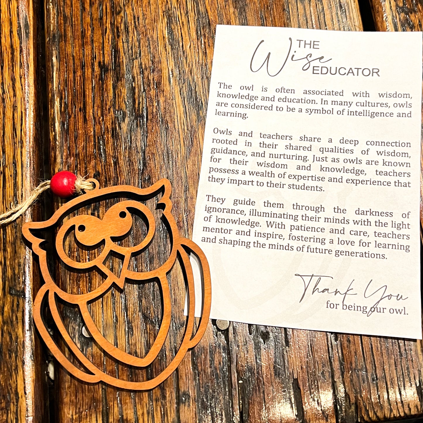 Story of the Wise Educator Ornament